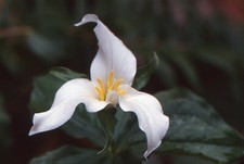 35 MM Color Slides Pro Photo