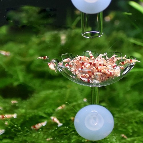 Aquarium fish tank shrimp food - aquarium,