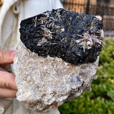 2.65LB Beautiful natural black tourmaline tourmaline logo healing