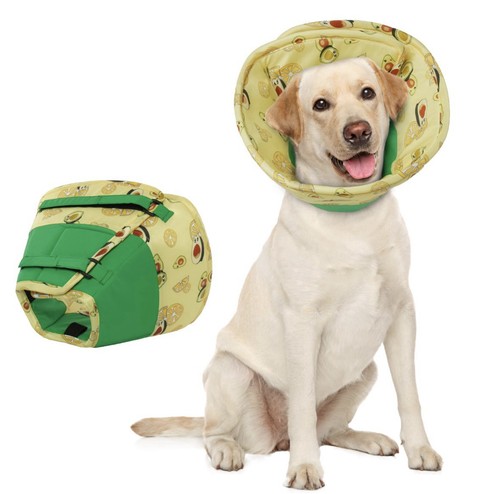 Hjumarayan pet dog - hjumarayan,
