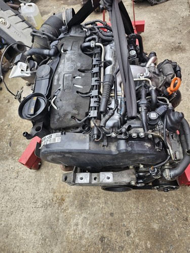 Volkswagen passat golf audi - passat,