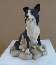 Border Fine Arts Border Collie