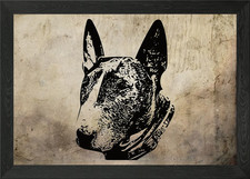 English Bull Terrier Framed