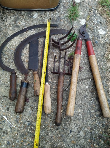 Vintage antique gardening - antique,