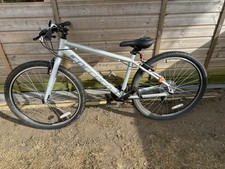 Correa parva 16” ladies