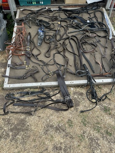 Job lot quality equestrian - quality,