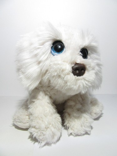 Washed keel white labradoodle - white,