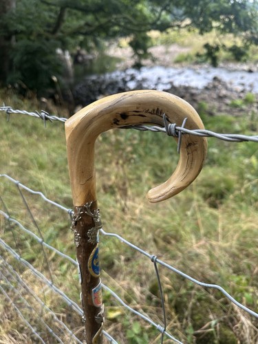 Rams horn walking - walking, with