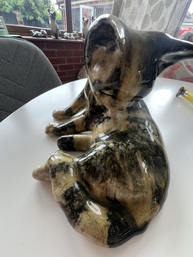 Winstanley size licking - winstanley, cat