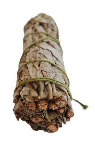 White sage smudge stick - white,