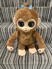Peanut The Playful Monkey