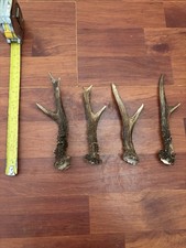 4 X Roe Deer Antler