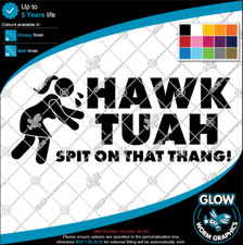 Hawk Tuah Spit On That Thang Meme Rude Funny Car Van Window Sticker Vinyl Decal