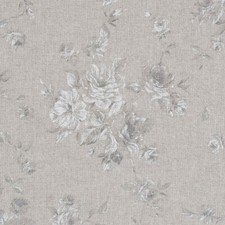 French Faded Rose 'Zen' Grey