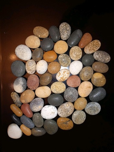 Colourful pebbles for mosaic