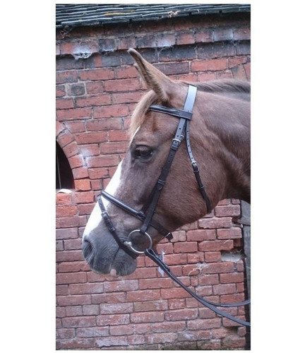 Reduced sale flash snaffle - -,