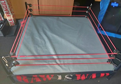 Wwe authentic scale attitude - authentic,