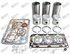 David Brown 1190 & 1194 Engine