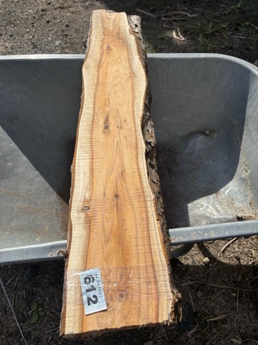 Yew plank - yew, wood,yew