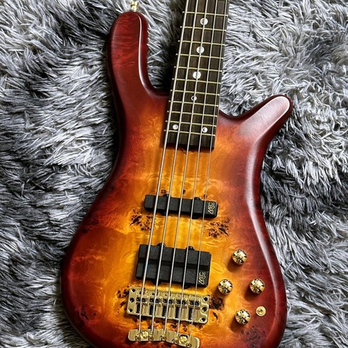 Warwick teambuilt streamer - teambuilt, lx