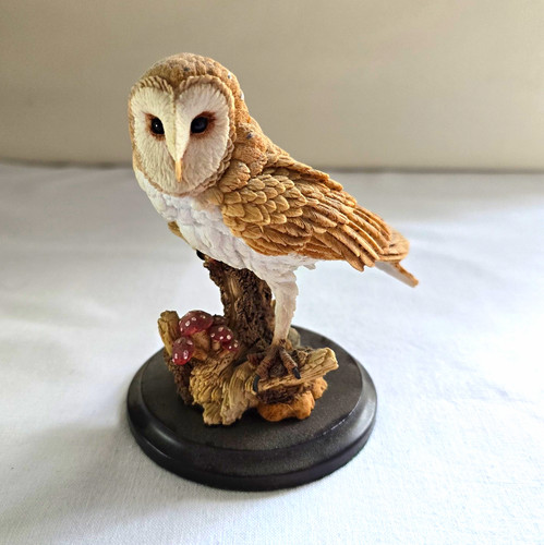 Country artists barn owl - artists,