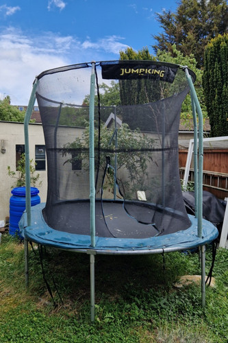 Jumpking 8ft 11ft oval - 8ft,