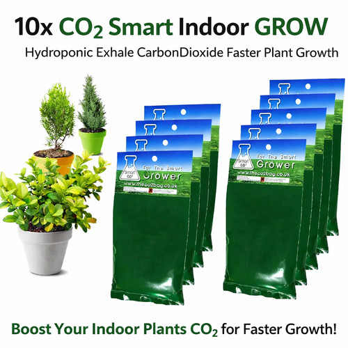 Co2 smart indoor grow - co2, bag
