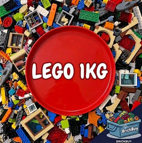 Lego 1kg bricks parts - 1kg,