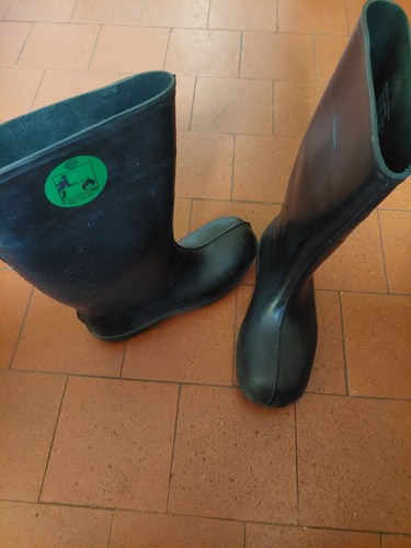 Bekina safety wellington boots - safety,