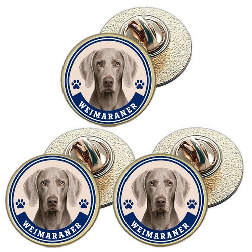 Weimaraner dog - 3,