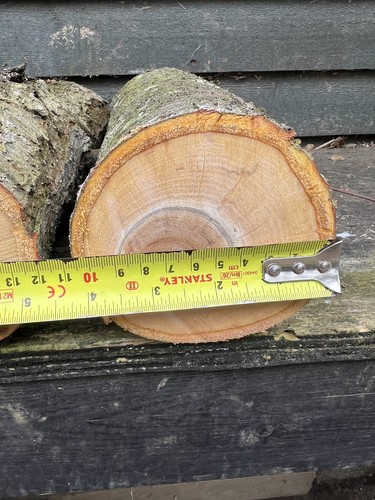 Greengage wood log blank - x,