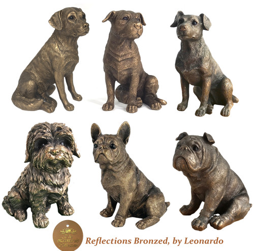 Sale leonardo reflections - sale,