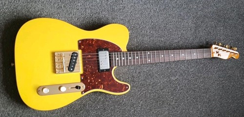 Custom built telecaster pro - custom,