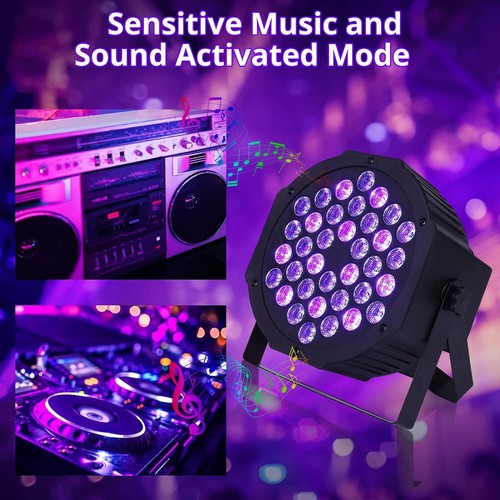 Black light par can stage - can,