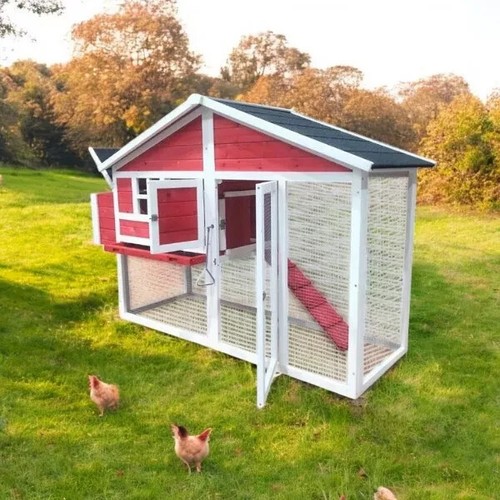 Wooden chicken coop - chicken, run