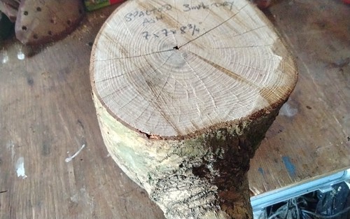 Spalted ash bowl blank - bowl, wood