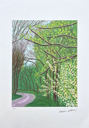 David hockney the arrival of - the,