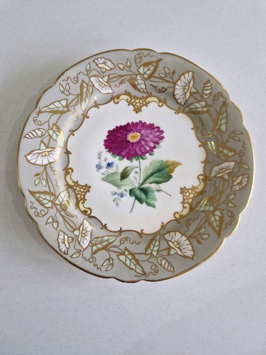 Antique samuel alcock - alcock, ridgway