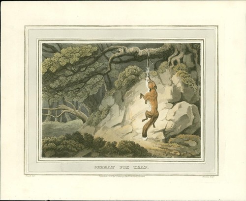 1814 field sports 1st edition - 1st,