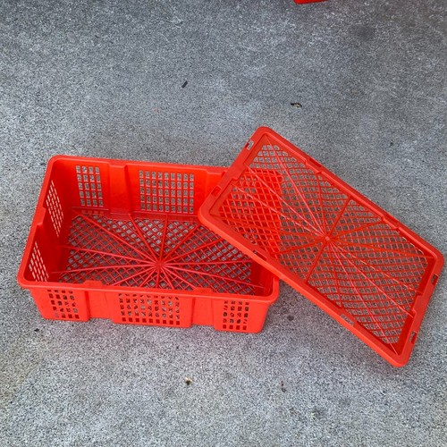 Red plastic storage crates - 25,