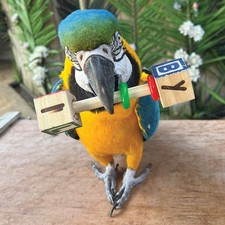 ABC Parrot Rattle Foot Toy - Large African Grey Cockatoo Macaw Conure Eclectus
