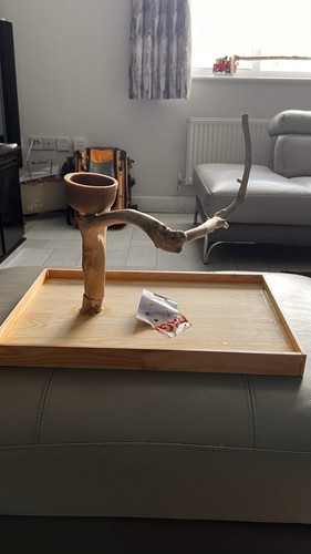 Parrot play stand - parrot,