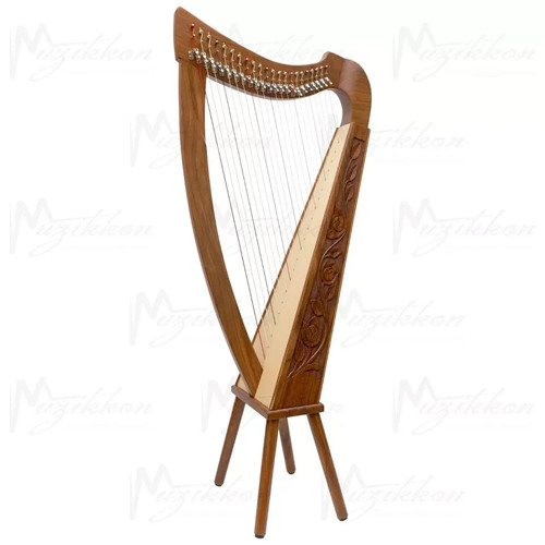Strings harp irish folk - harp,