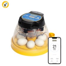 Brinsea Mini II EX Connect