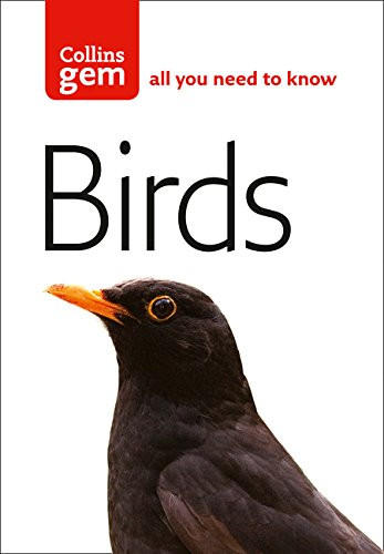 Birds flegg - -,