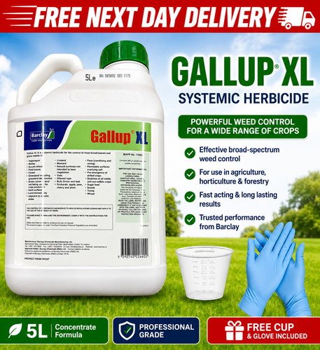 Gallup professional - gallup,