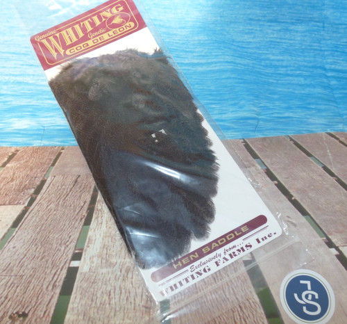 Whiting genetic coq - genetic, leon
