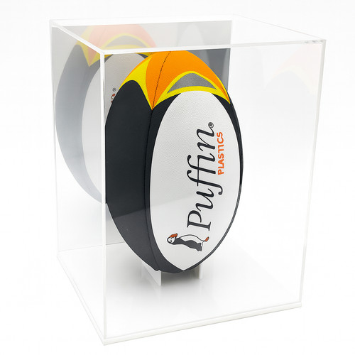 Rugby ball display - ball, deluxe