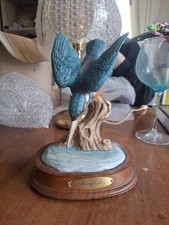 Kingfisher British Birds the