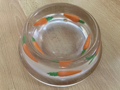 Designer clear pet bowl - clear,